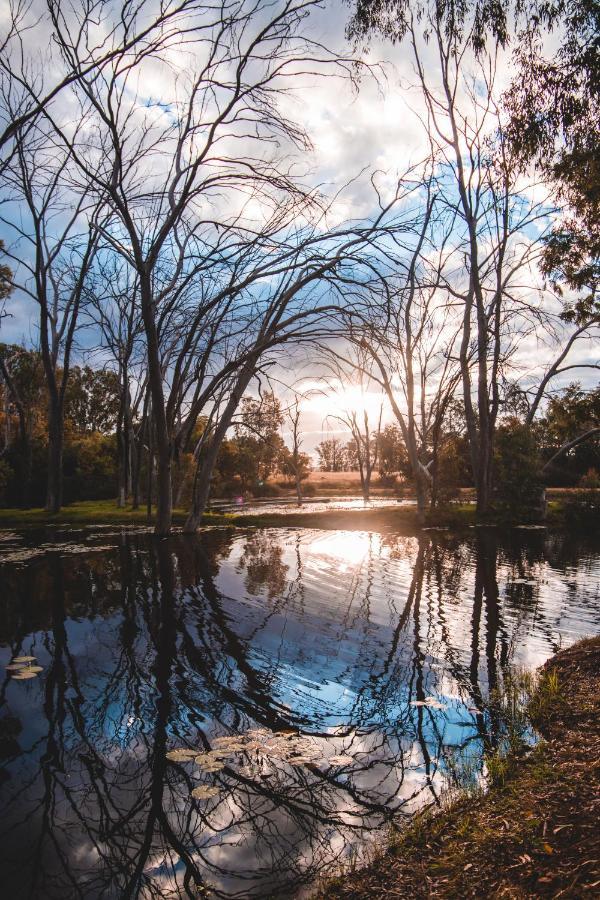 Bass Lake Country Lodge Pretoria-Noord エクステリア 写真