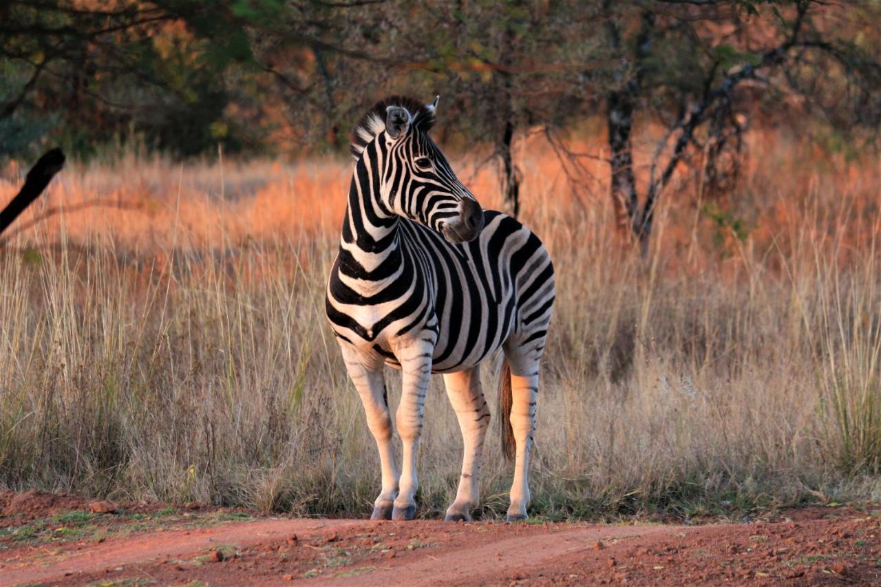 Bass Lake Country Lodge Pretoria-Noord エクステリア 写真
