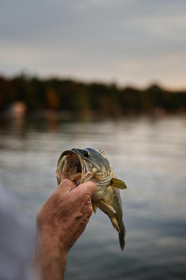 Bass Lake Country Lodge Pretoria-Noord エクステリア 写真